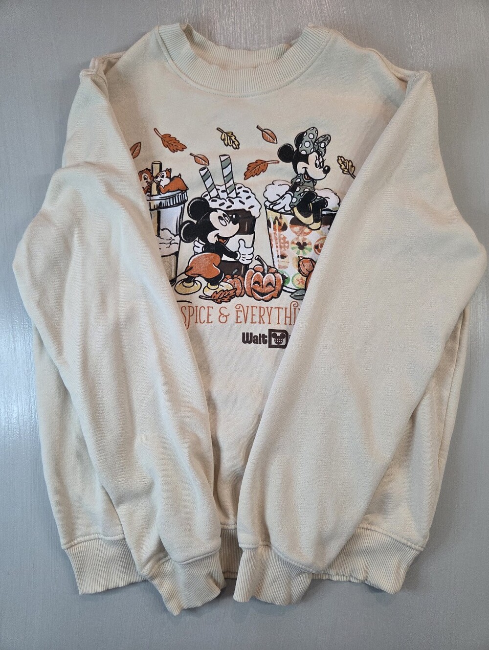 Walt Disney World Pumpkin Spice And Everything Nice Sweater - Picture 2 of 8